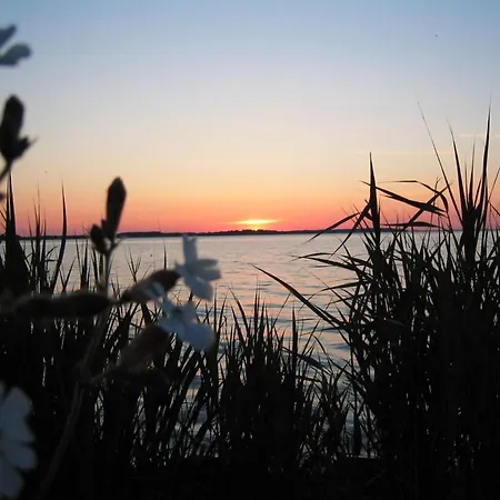 Liebevoll Eingerichtetes Apartment *